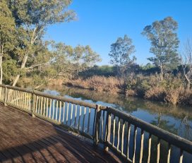 Avoca River Cabins Wedding Venue