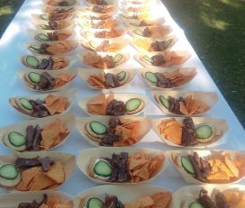 Sipho and Aloice catering and projects